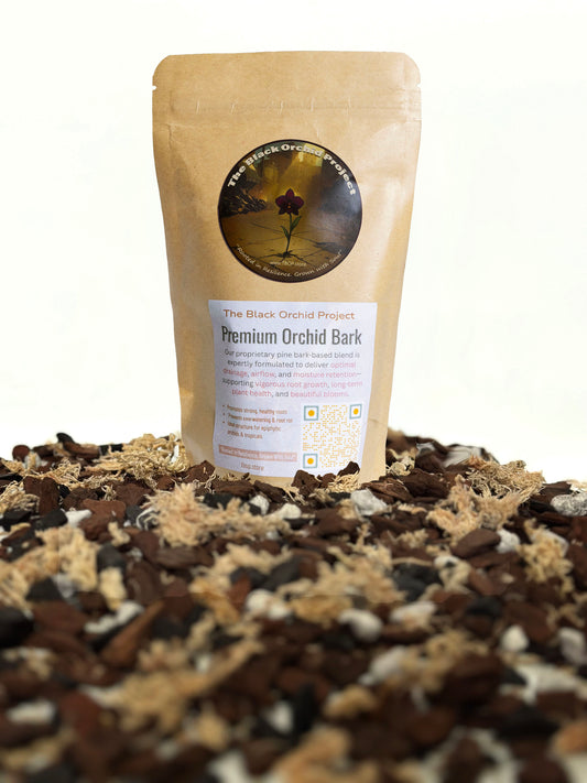 Premium Phalaenopsis Orchid Mix Small