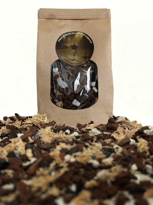 Premium Phalaenopsis Orchid Mix